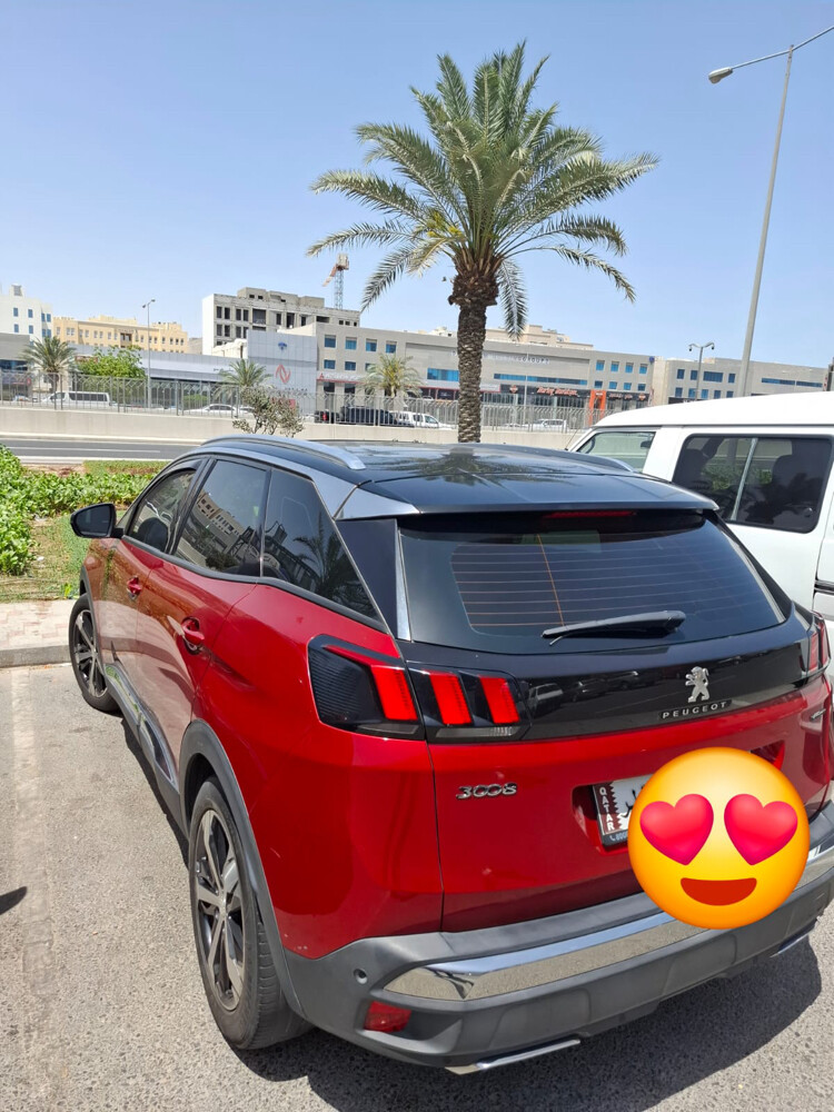 بيجو 2021 - 3