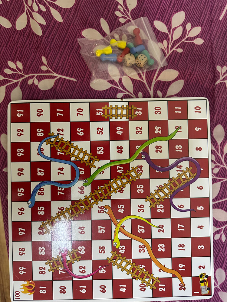snake and ladder wooden cardboard - 1