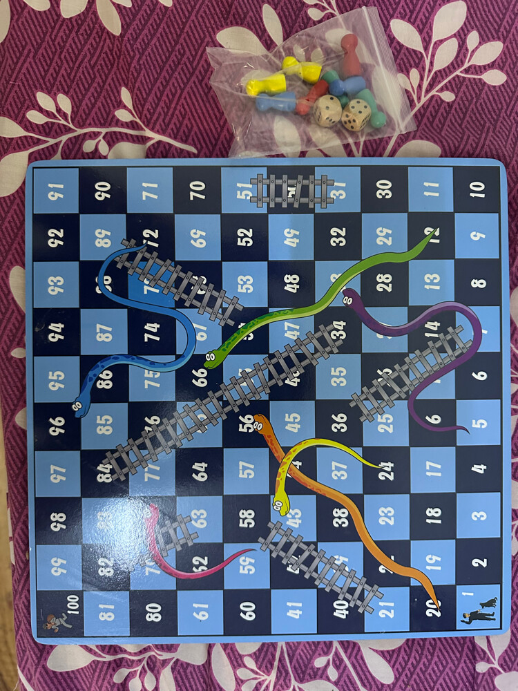 snake and ladder wooden cardboard - 4