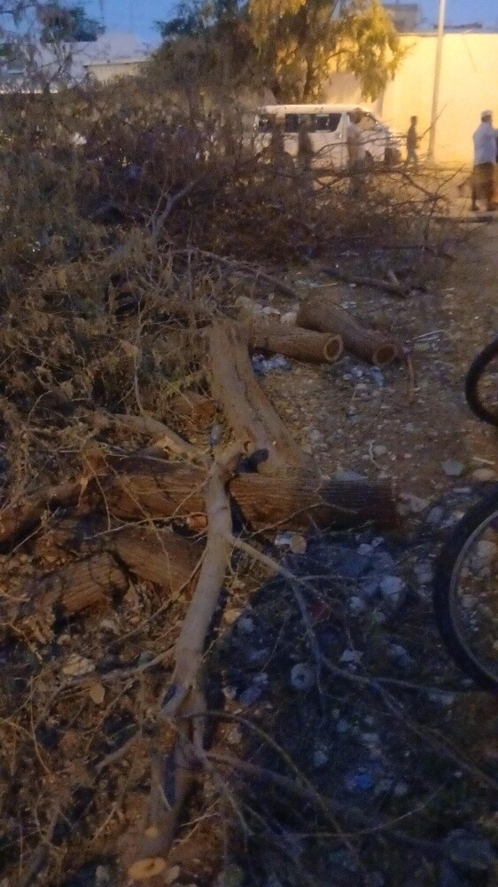 المنصورى - 1