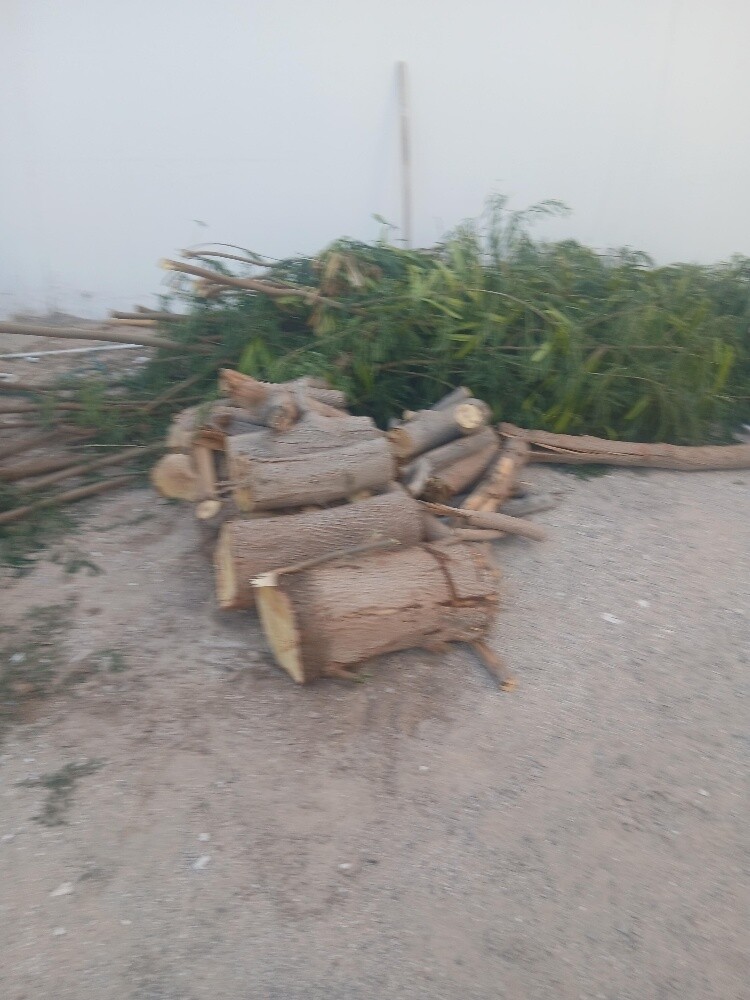 المنصورى - 2