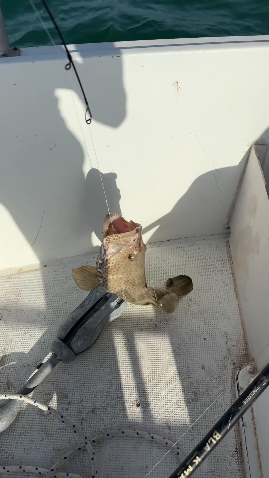 Fishing trip - 5