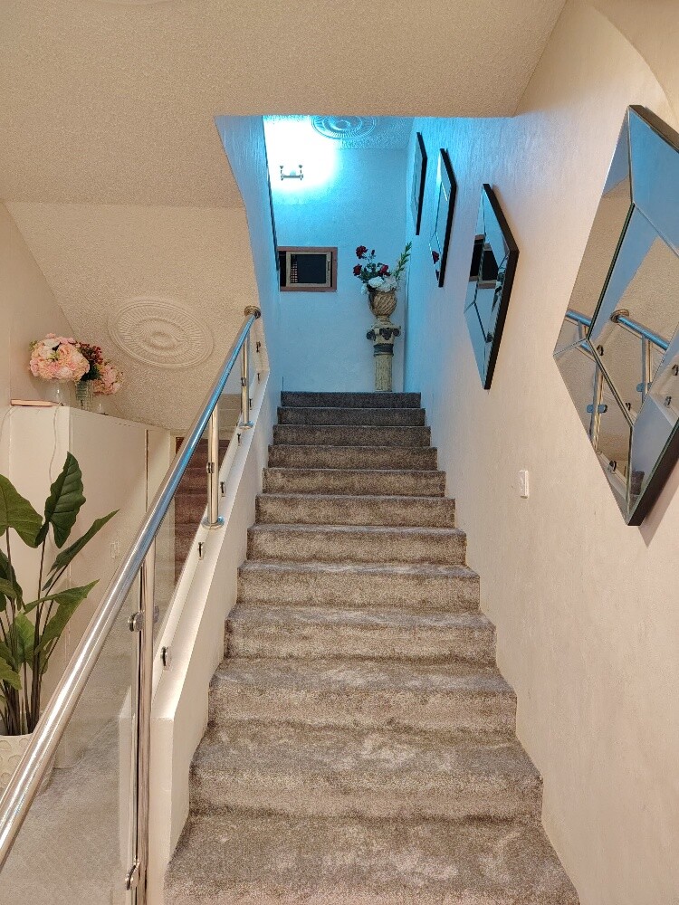 السجاد - 6