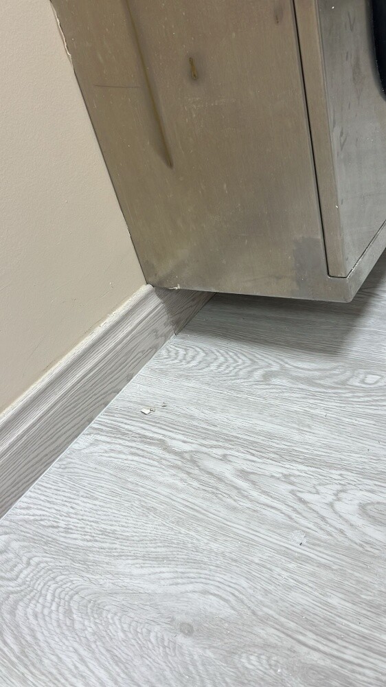 Flooring Spc - 5