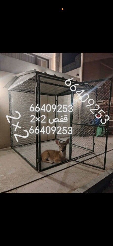 مال درام مال ماي - 6