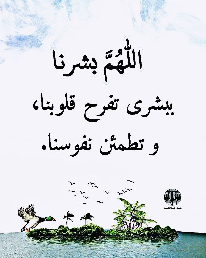 ابحث عن فرصه عمل - 1