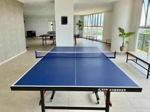 tennis table ping pong  - 1