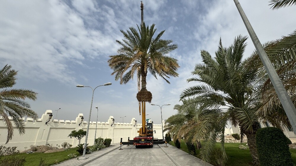 تنسيق وصيانة الحدائق - 4