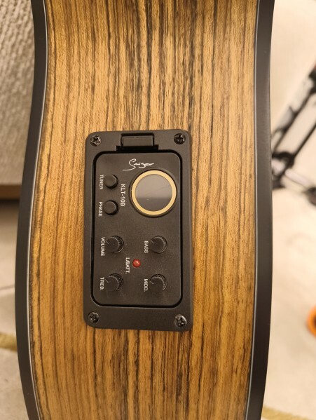 Acoustic Guitar with Apm - 8