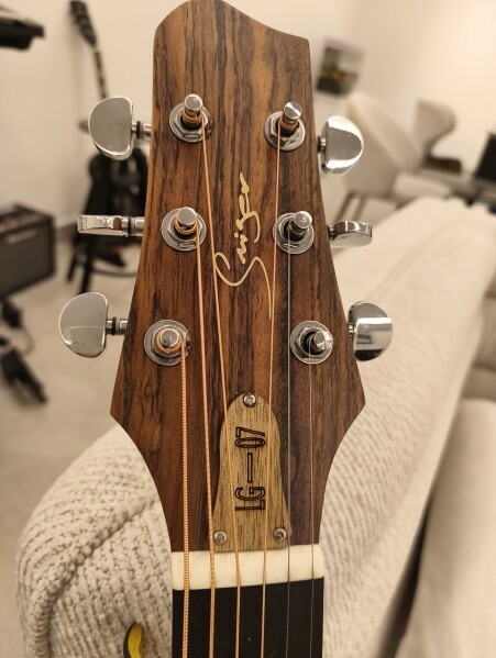 Acoustic Guitar with Apm - 4