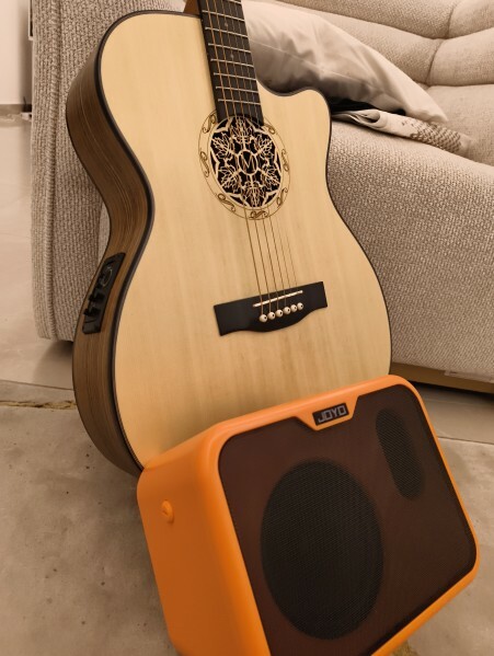 Acoustic Guitar with Apm - 1