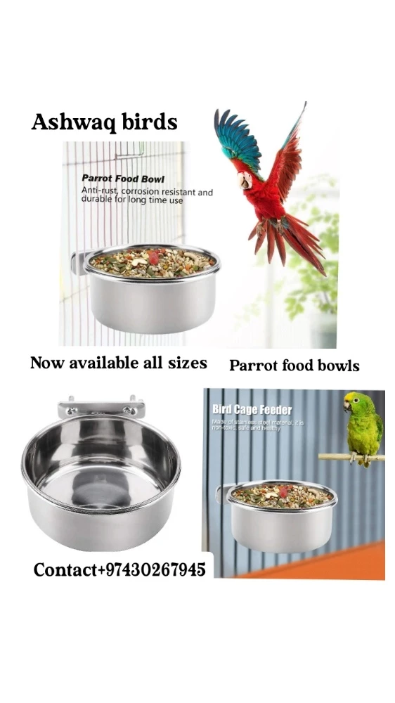 Bird Bowl steel 25qr 10 cm - 1