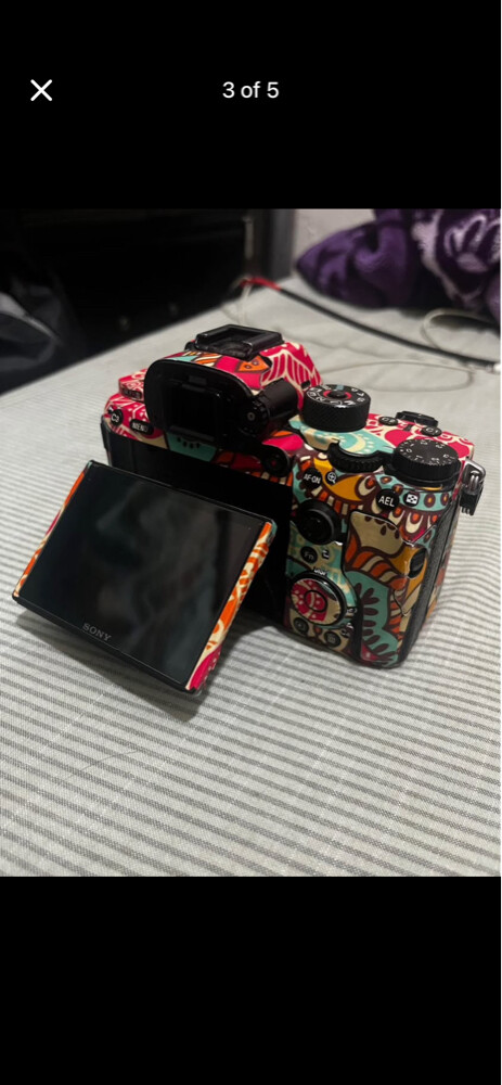 SONY ALPHA 7R3 - 2