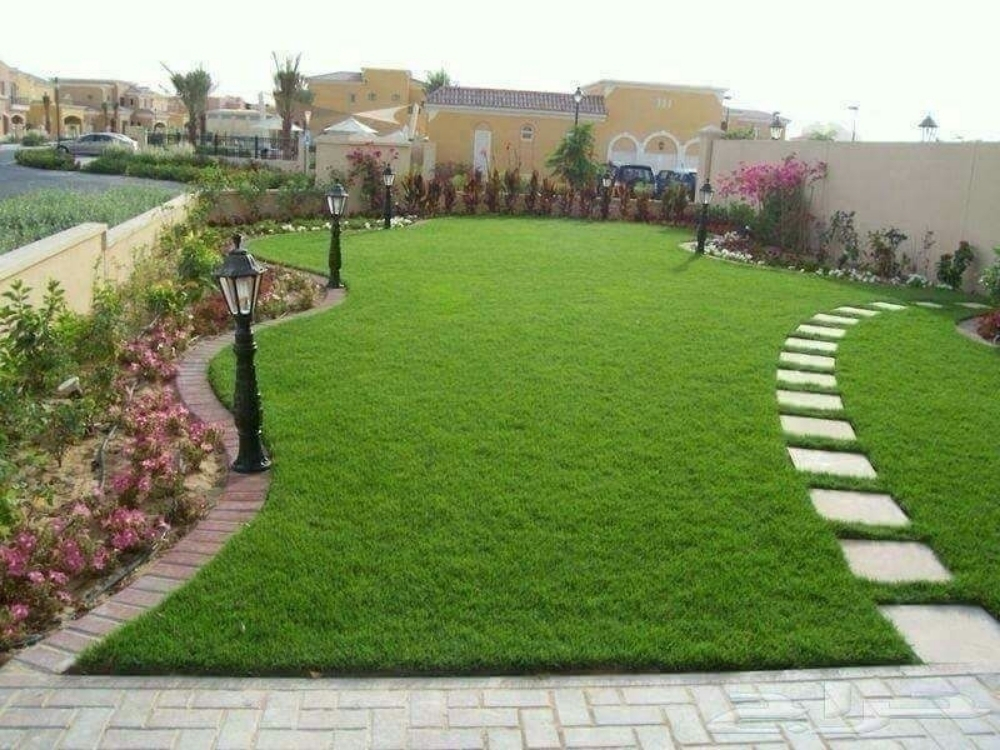 زراعه العشب الاخضر - 4