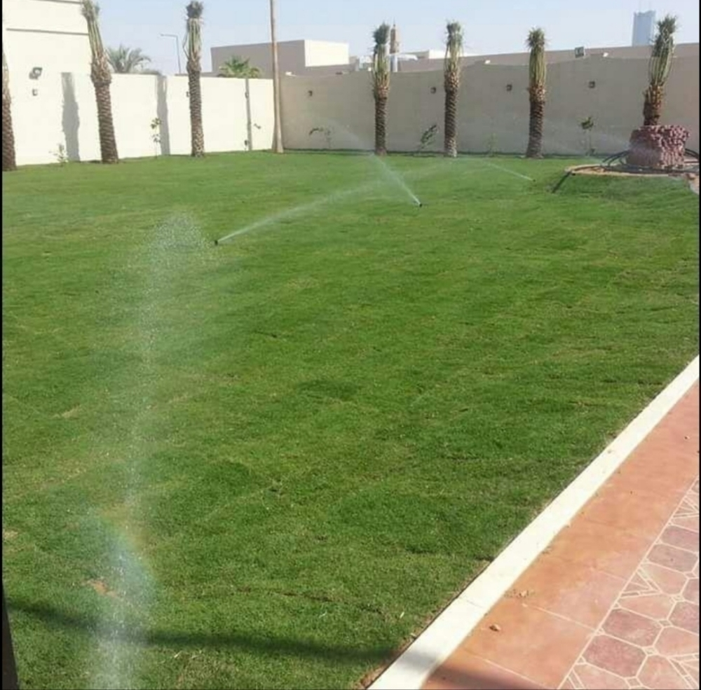 زراعه العشب الاخضر - 1