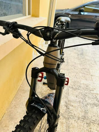 Orbea Wild (ebike) - 10