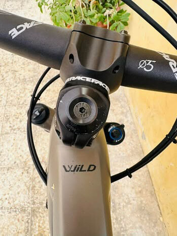 Orbea Wild (ebike) - 6