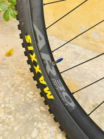 Orbea Wild (ebike) - 7