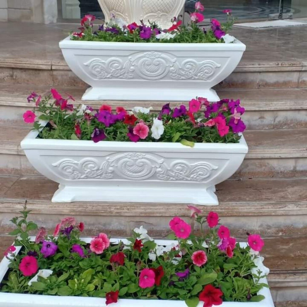 مزرعه الورود - 2