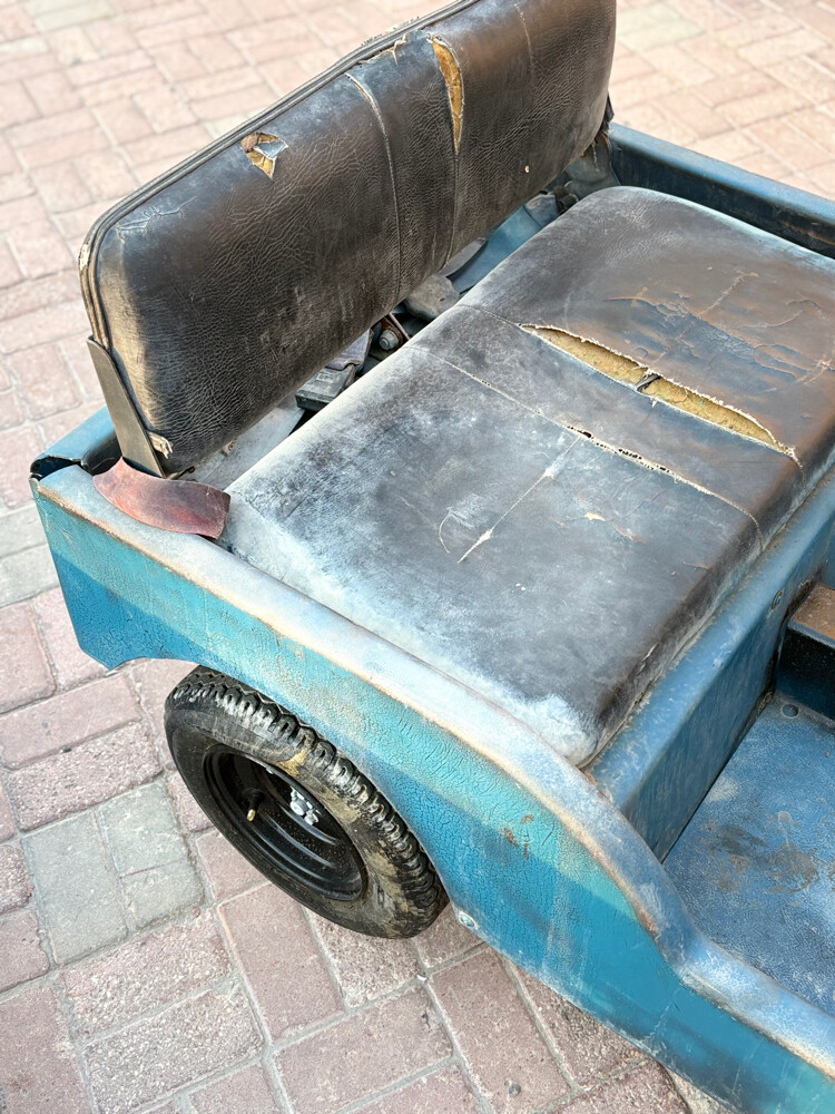 mini jeep  - 6