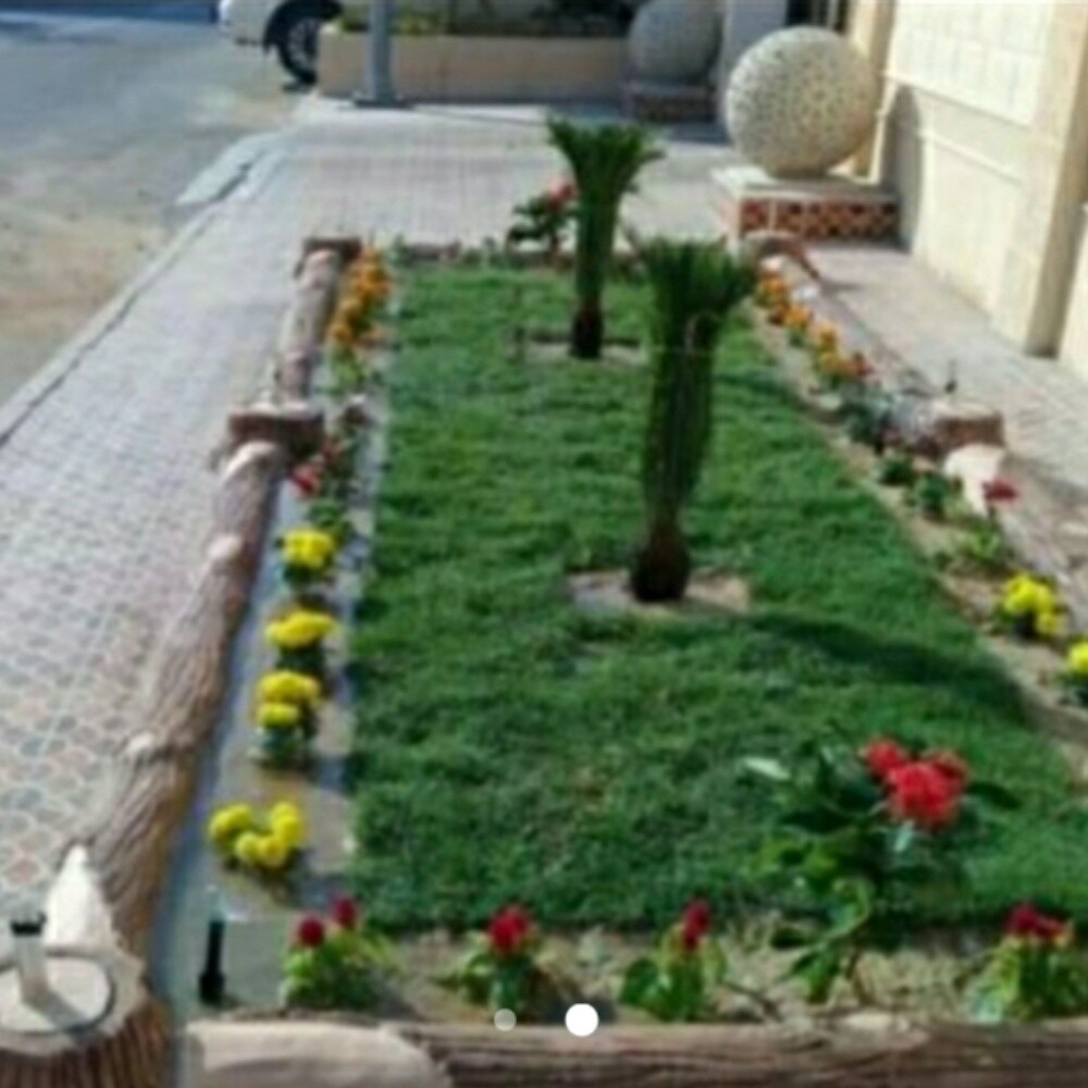 ترتيب الحدائق - 6
