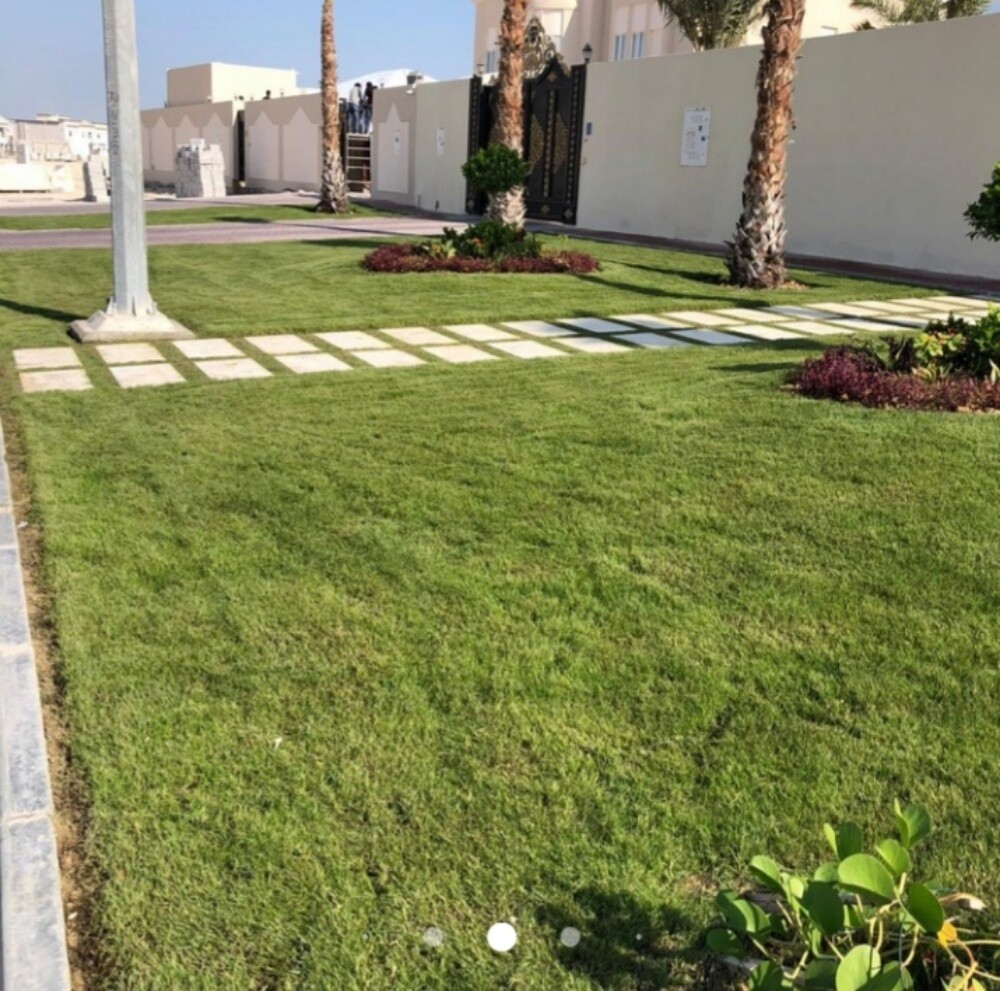 ترتيب الحدائق - 5