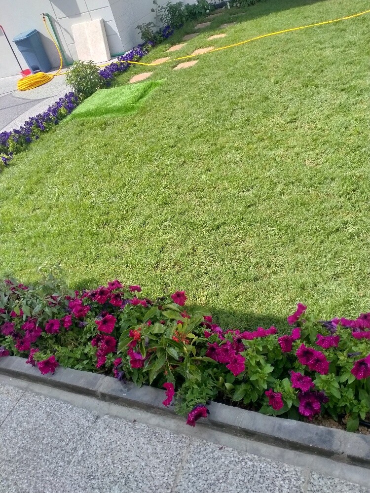 الزراعه - 8