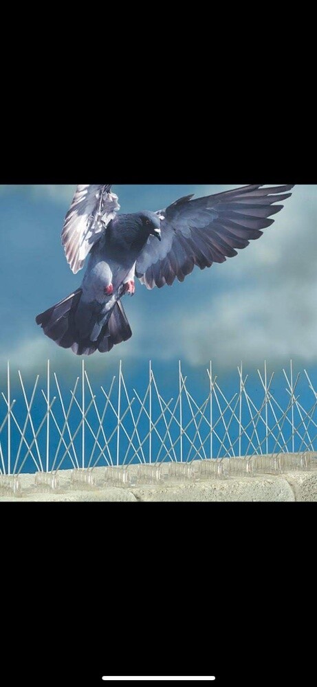 طارد الحمام 55695744 - 1