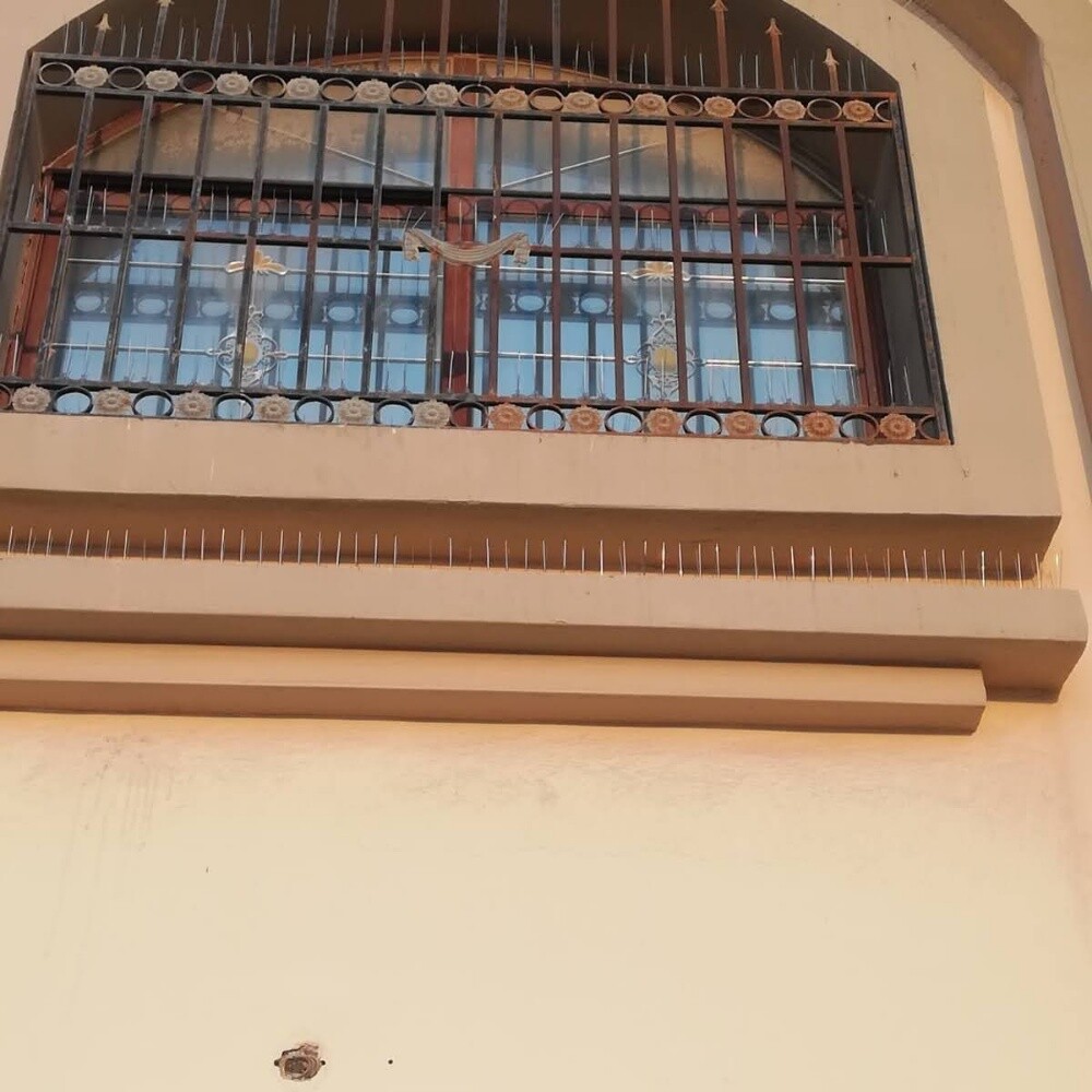 طارد الحمام 55695744 - 4