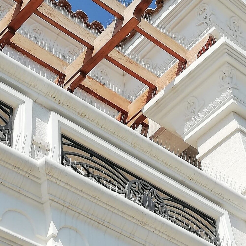 طارد الحمام 55695744 - 2