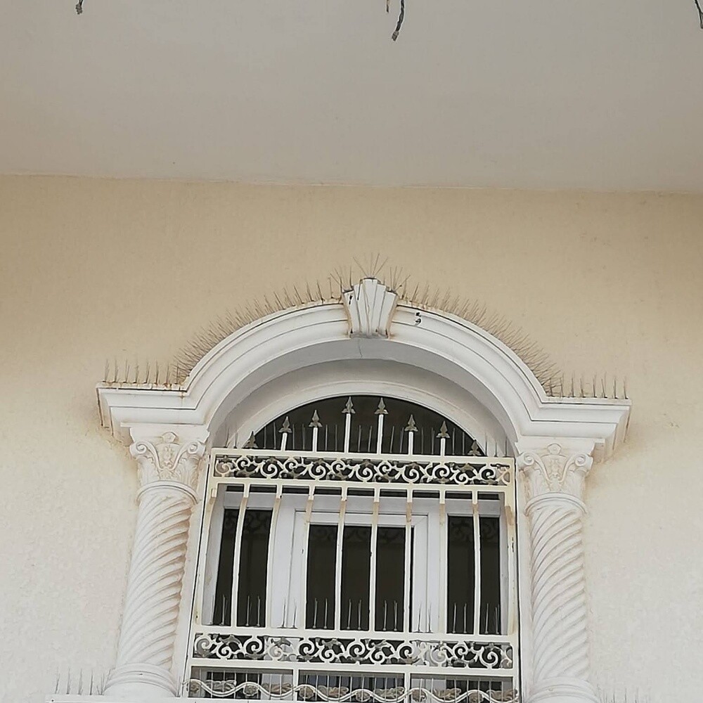 طارد الحمام 55695744 - 8
