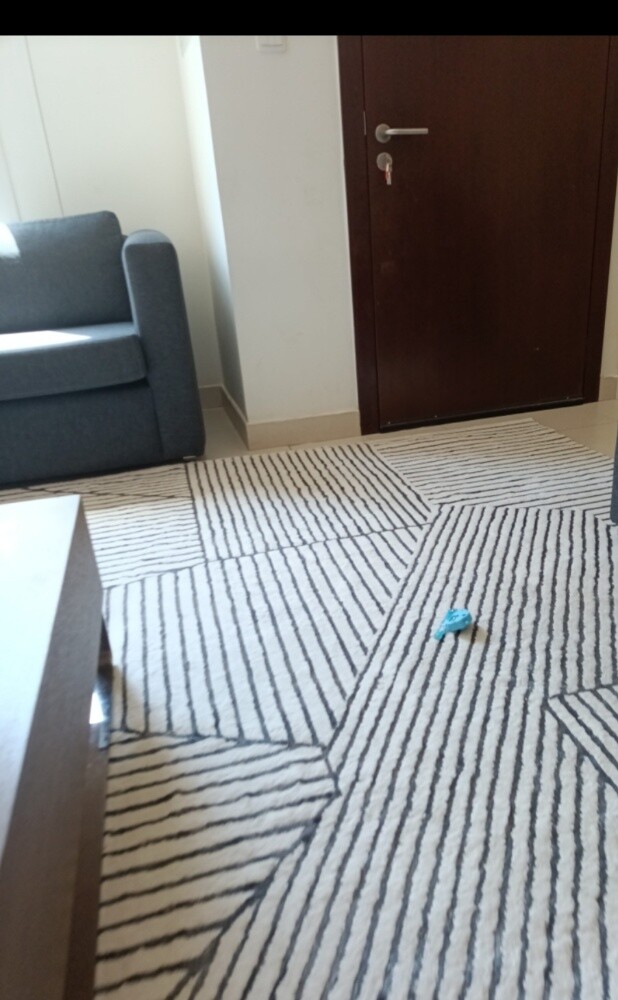 3 carpets for sale used for 6 month - 3