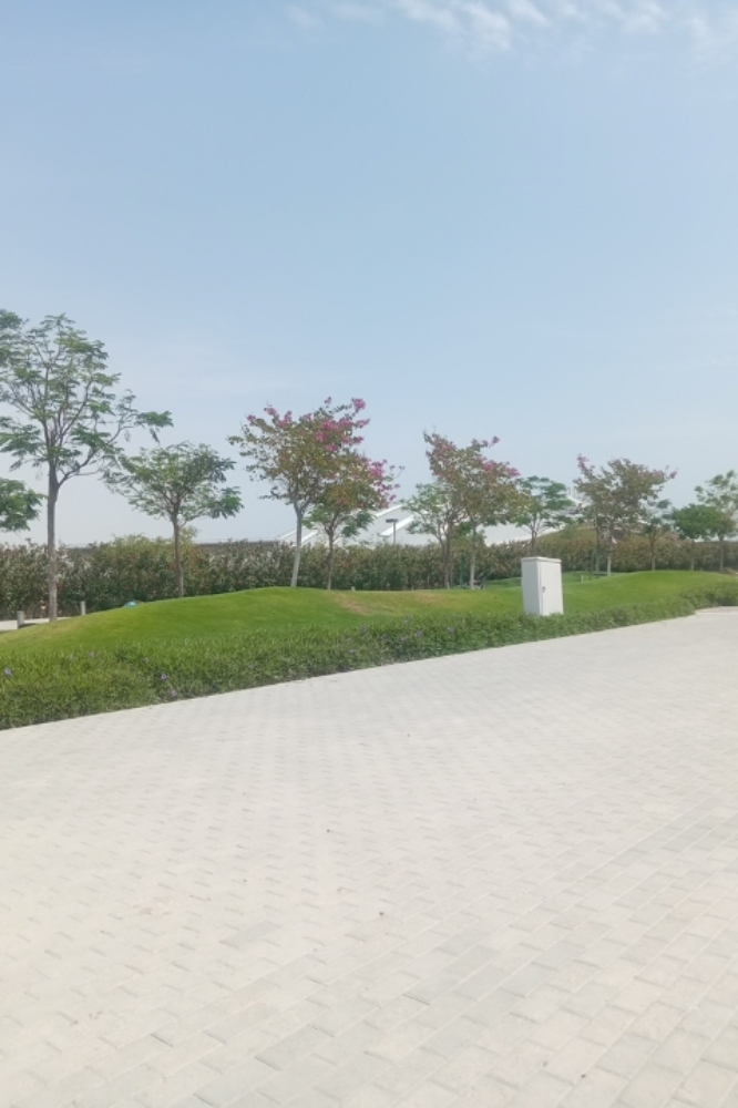 صلاح - 1