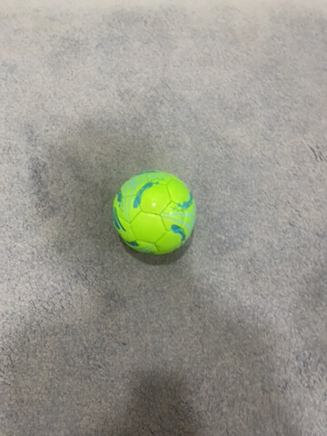 sketchers ball - 6
