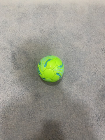 sketchers ball - 4