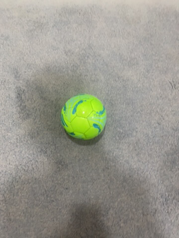 sketchers ball - 2