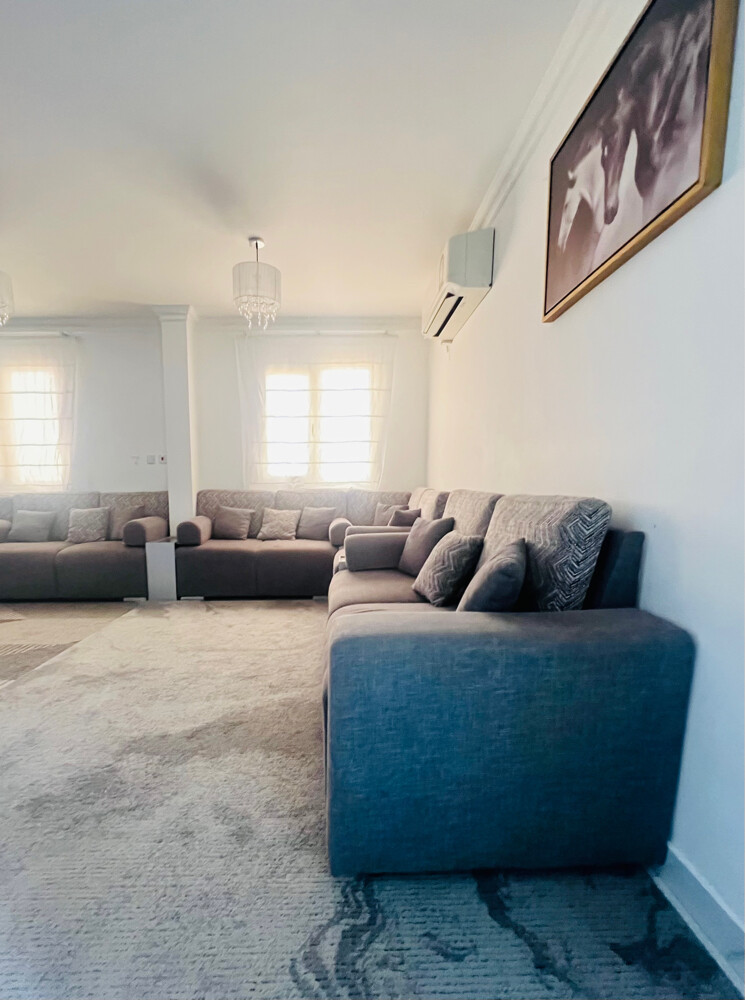 Luxury sofa for sale - 2