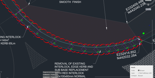 Surveyor - 1