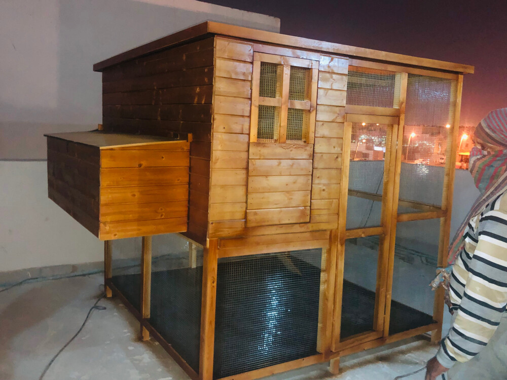New model hen House For Sale - 3
