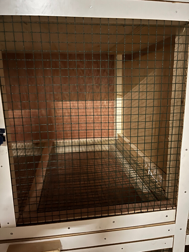 New model hen House For Sale - 9