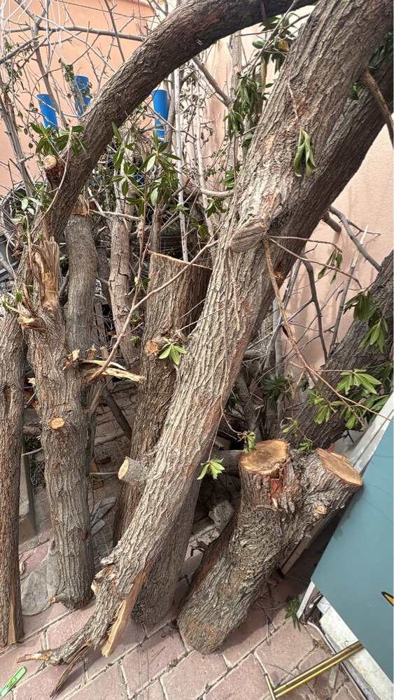 حطب للبيع  - 2