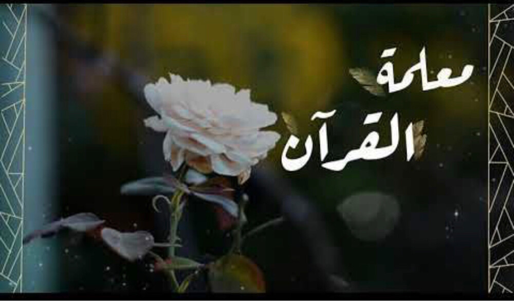 أساتذة زينب - 1