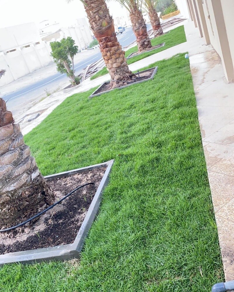 تنسيق وتصميم الحدائق وشبكات الرمي - 18