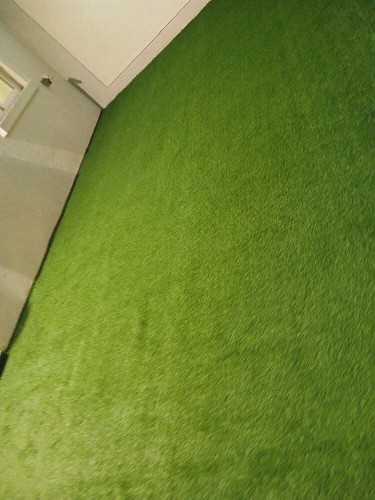 Grass carpet, artificial grass - 2