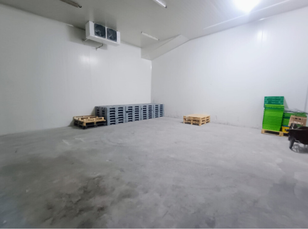 Food Storage For rent  - 2
