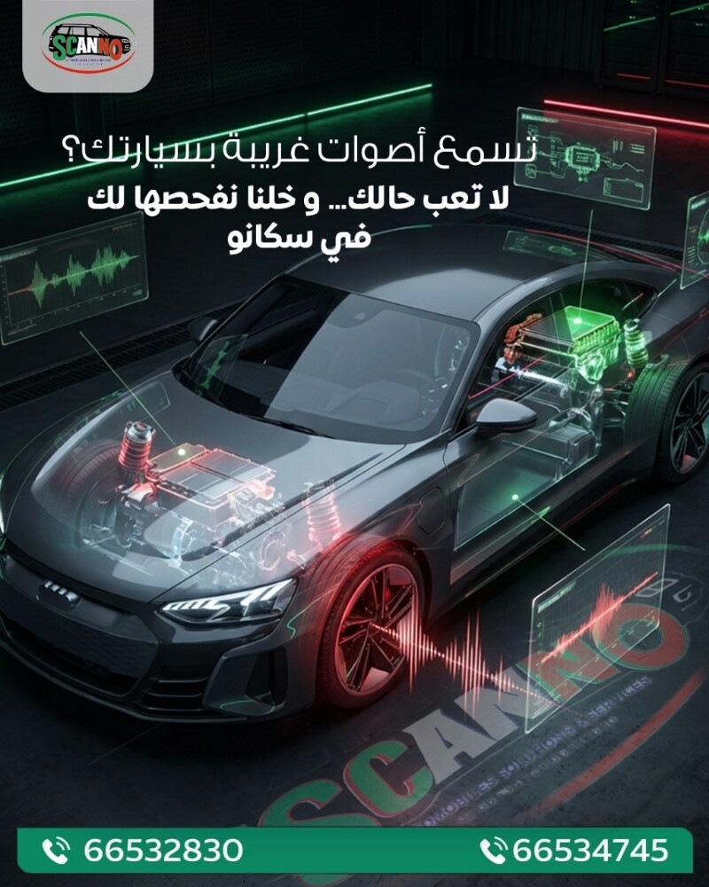 Scanno Auto Inspection - 1