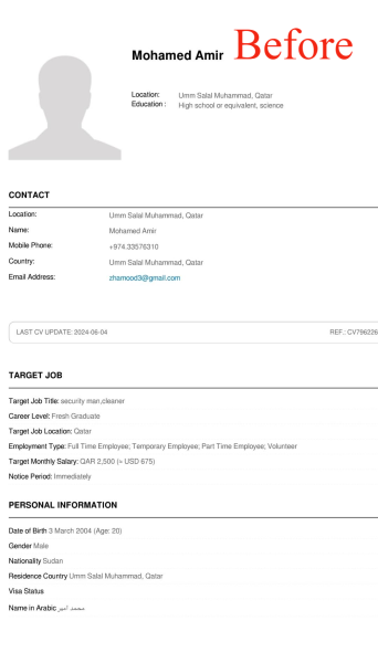 Professional CV Creation - 3