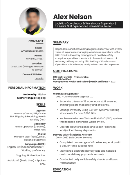 Professional CV Creation - 2