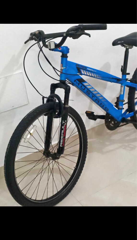 baic - 1