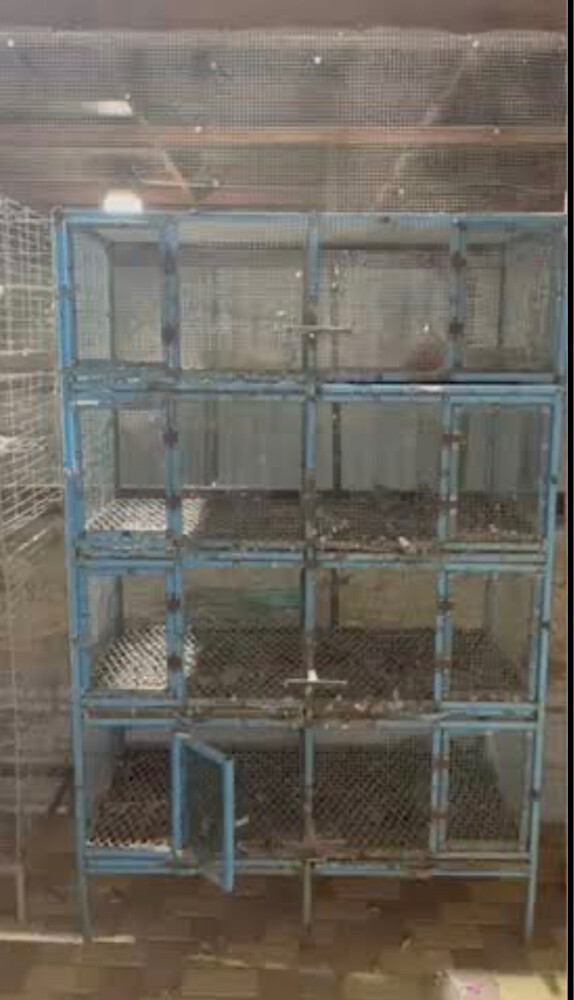 cage  - 1